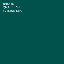 #01514C - Evening Sea Color Image